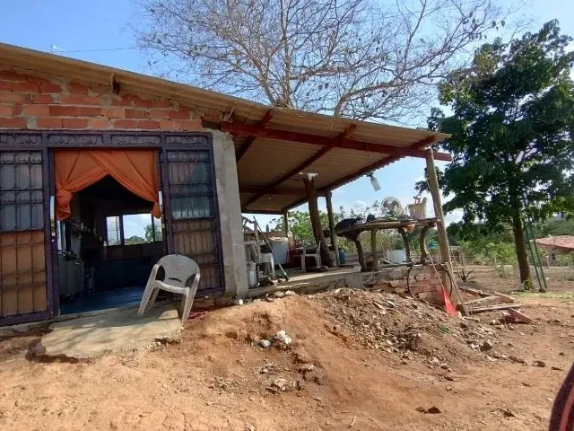 Imagem 15: Vende-Se Chácara de 9.800Mts em Vianopolis