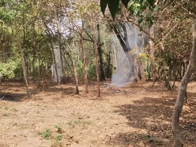 Imagem 16: Vende-Se Chácara de 9.800Mts em Vianopolis