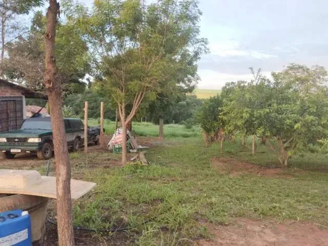 Imagem 4: Vende-Se Chácara de 9.800Mts em Vianopolis