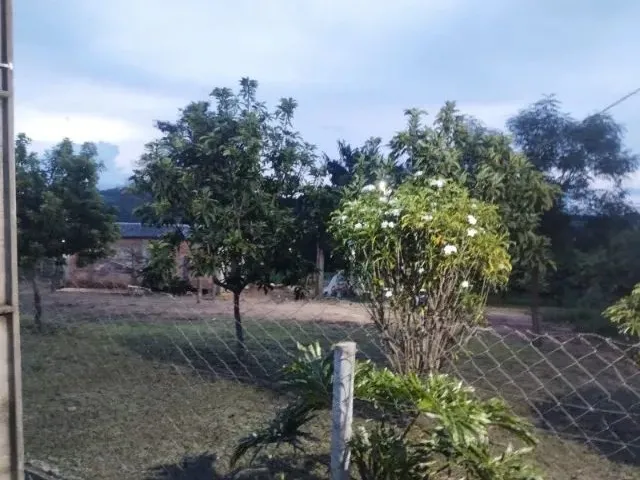 Imagem 11: Vende-Se Chácara de 9.800Mts em Vianopolis