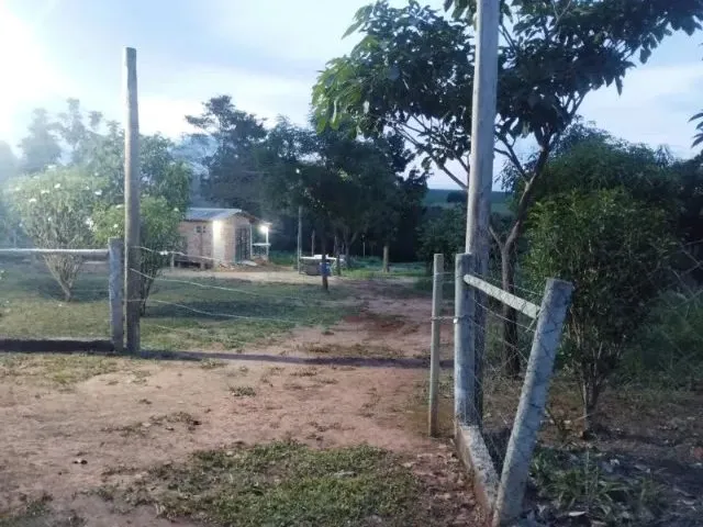 Imagem 10: Vende-Se Chácara de 9.800Mts em Vianopolis