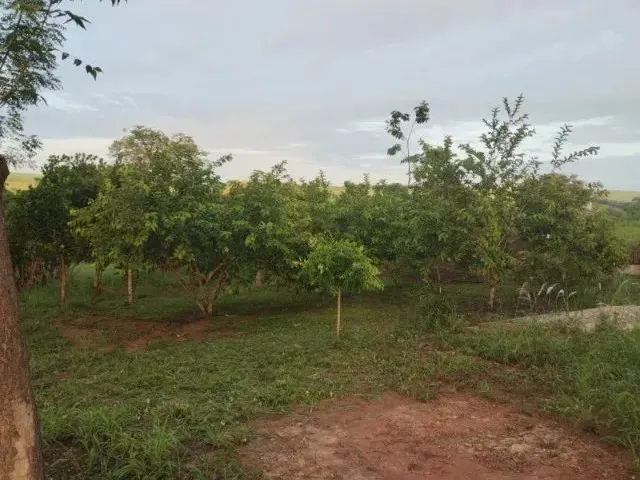 Imagem 9: Vende-Se Chácara de 9.800Mts em Vianopolis