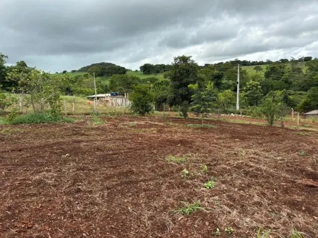 Imagem 5: Chácara 4.800 M² com Casa Pronta - 53 Km de Goiânia Oferta para Vender Rápido