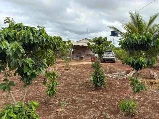 Imagem 4: Chácara 4.800 M² com Casa Pronta - 53 Km de Goiânia Oferta para Vender Rápido