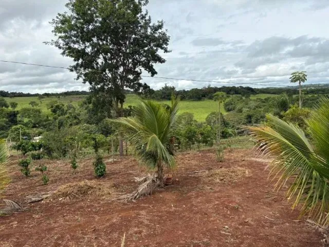 Imagem 6: Chácara 4.800 M² com Casa Pronta - 53 Km de Goiânia Oferta para Vender Rápido