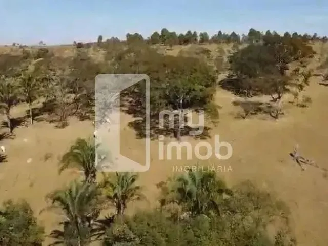 Imagem 11: Chácara em Corumbá de Goiás