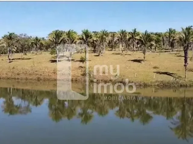 Imagem 6: Chácara em Corumbá de Goiás