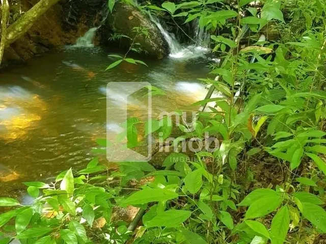 Imagem 7: Fazenda 20 Alqueires em Pirenópolis