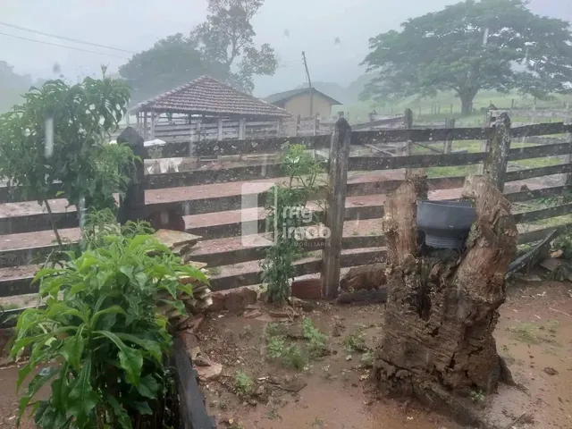 Imagem: Fazenda 40 Alqueires em Cocalzinho-Go