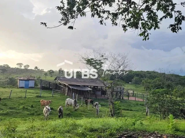 Imagem 4: 0 - Chácara 6 Quartos, Sendo 1 Suíte