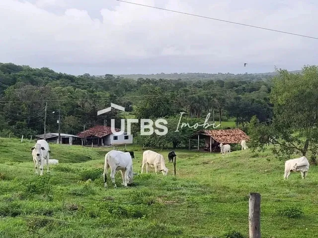 Imagem 5: 0 - Chácara 6 Quartos, Sendo 1 Suíte