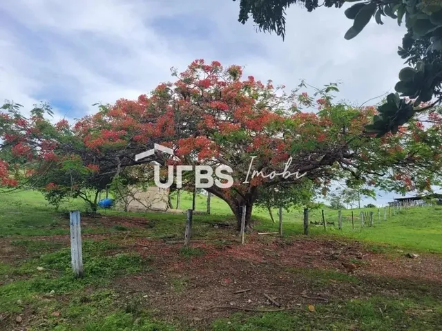 Imagem 14: 0 - Chácara 6 Quartos, Sendo 1 Suíte
