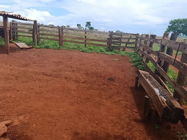 Imagem: Linda Sítio a Venda Todo Empastado