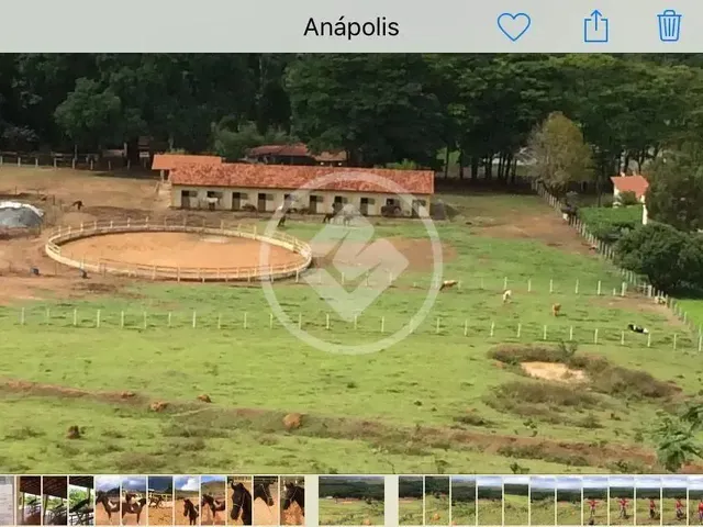 Imagem: Haras em Anapolis Codigo 123968