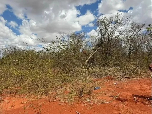 Imagem 1: Chácara a 21 Km de Montes Claros