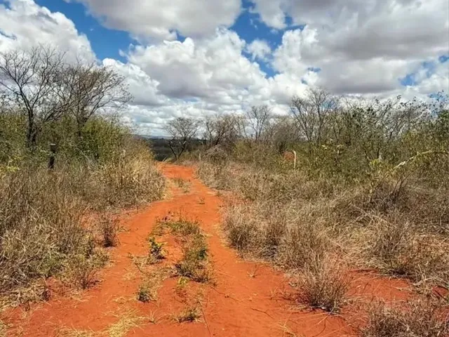 Imagem 3: Chácara a 21 Km de Montes Claros