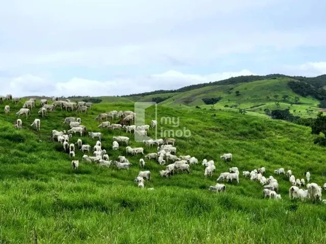 Imagem 2: Fazenda de 238 Alqueires em Pirenópolis
