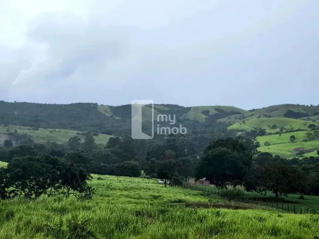 Imagem 3: Fazenda de 238 Alqueires em Pirenópolis