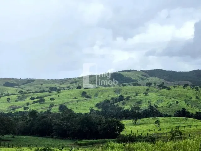 Imagem 7: Fazenda de 238 Alqueires em Pirenópolis