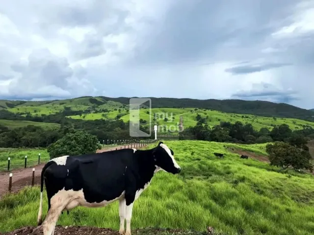 Imagem 13: Fazenda de 238 Alqueires em Pirenópolis