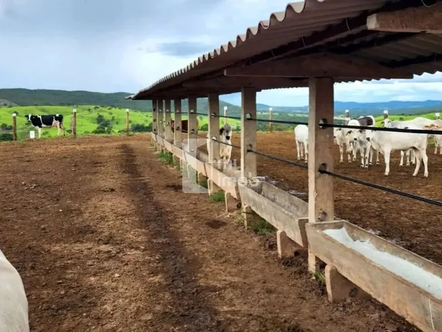 Imagem 5: Fazenda de 238 Alqueires em Pirenópolis