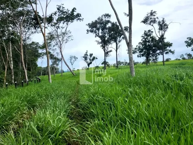 Imagem 10: Fazenda de 238 Alqueires em Pirenópolis