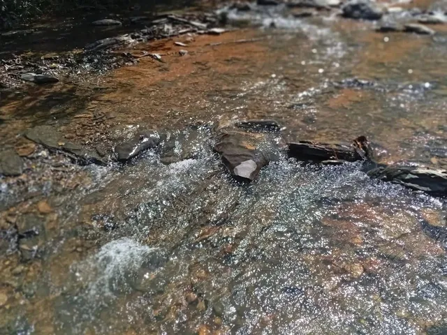 Imagem 10: Fazendinha /Água de Rio,Poço Artesiano/Permuta por Veículo/Imóvel Urbano!!