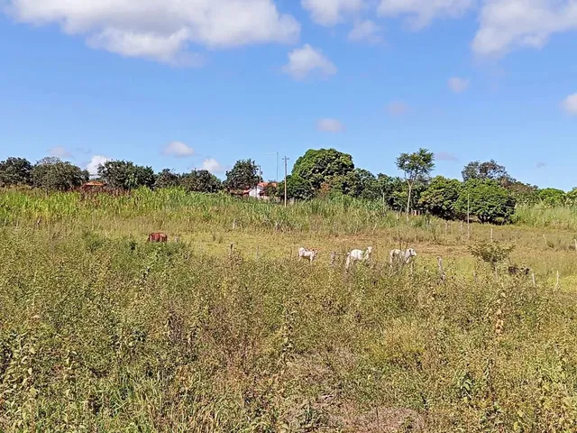 Imagem 16: Fazendinha /Água de Rio,Poço Artesiano/Permuta por Veículo/Imóvel Urbano!!