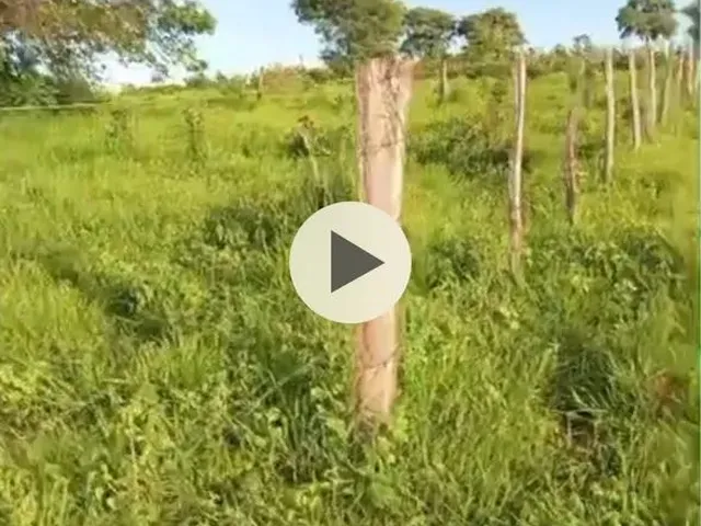Imagem 1: Fazenda Próximo a Montes Claros