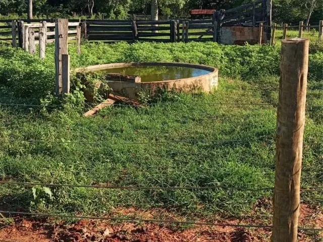 Imagem 16: Fazenda Próximo a Montes Claros