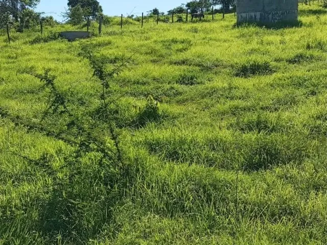 Imagem 3: Fazenda Próximo a Montes Claros