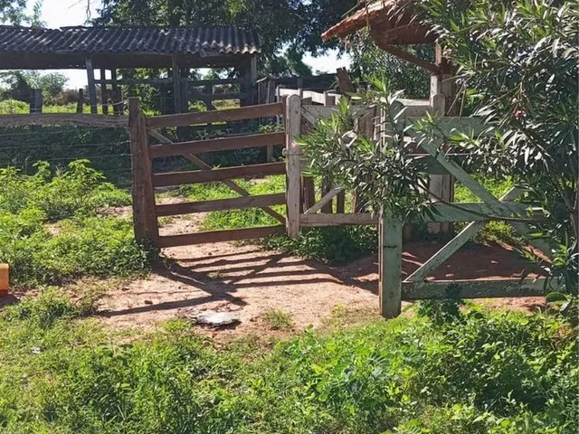 Imagem 6: Fazenda Próximo a Montes Claros