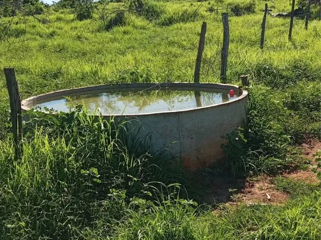 Imagem 7: Fazenda Próximo a Montes Claros