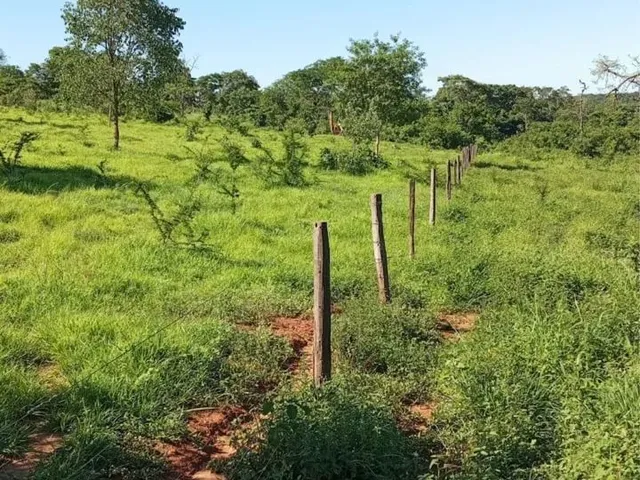 Imagem 8: Fazenda Próximo a Montes Claros