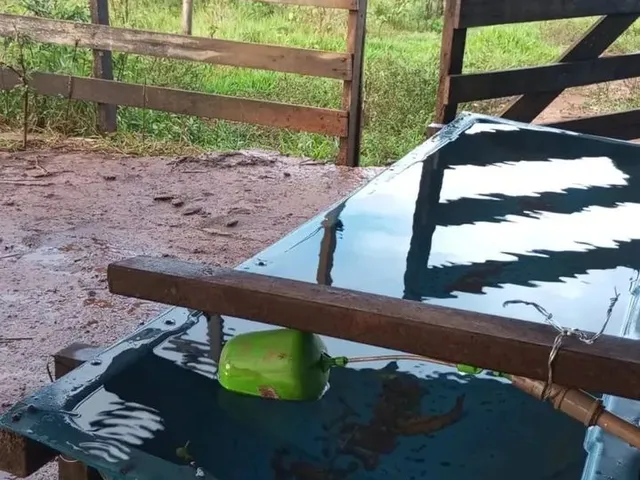 Imagem 6: Vendo Ótimo Sítio Escriturado e Registrado em Nova Petrópolis