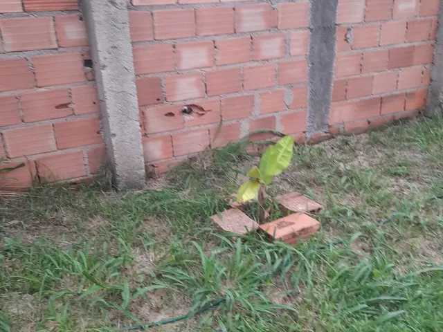 Imagem 4: Venda de Uma Casa com 10 Comodos