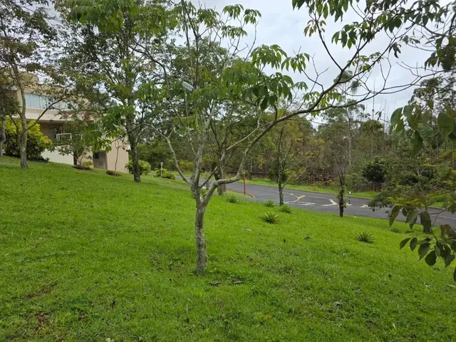 Imagem 10: Lote À Venda em Alphaville - Lagoa dos Ingleses - Nova Lima - Mg