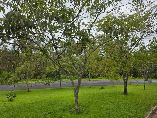 Imagem 11: Lote À Venda em Alphaville - Lagoa dos Ingleses - Nova Lima - Mg