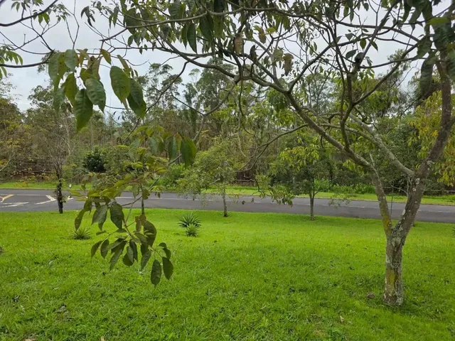 Imagem 6: Lote À Venda em Alphaville - Lagoa dos Ingleses - Nova Lima - Mg