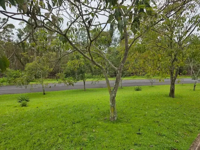 Imagem 3: Lote À Venda em Alphaville - Lagoa dos Ingleses - Nova Lima - Mg