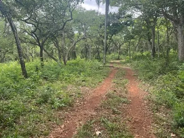 Imagem 11: Chácaras no san Remo em Contagem