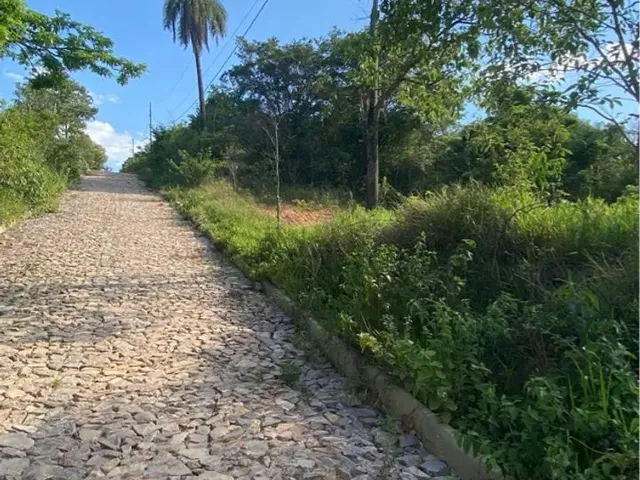 Imagem: Lote 1000M Esmeraldas