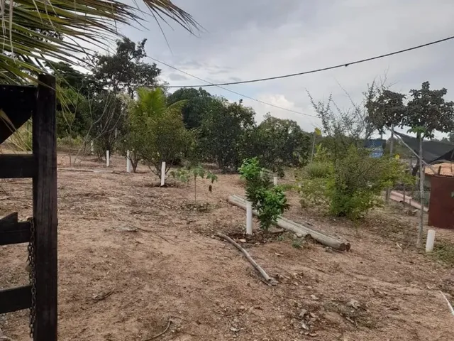 Imagem 14: Vende-Se Chácara