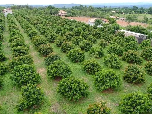 Imagem: Imóvel para Venda Tem 340 Metros Quadrados
