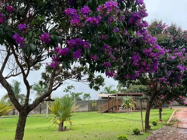 Imagem 15: Imóvel para Venda Tem 340 Metros Quadrados com 3 Quartos em Funilândia - Funilândia