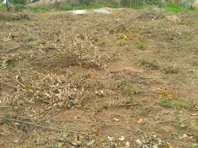 Imagem 2: Dois Excelentes Lotes em Juatuba 720 M²