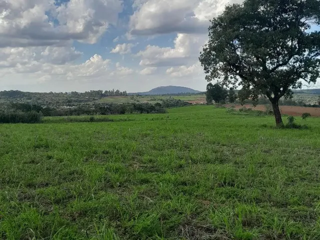 Imagem 4: Chacaras Rurais em Mateus Leme