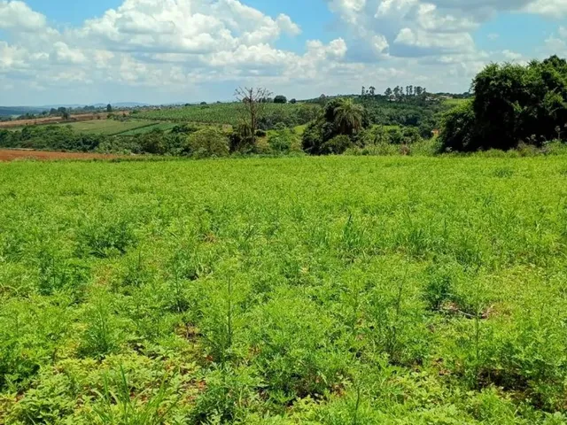 Imagem 8: Chacaras Rurais em Mateus Leme