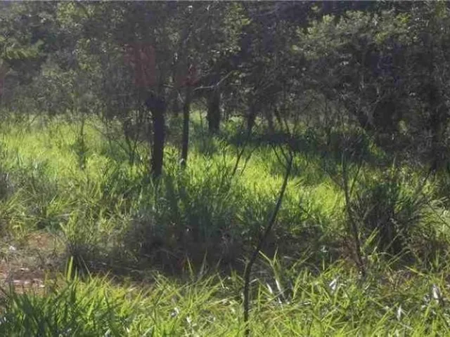 Imagem 1: Chácara de 5.000M² a 500M² do Asfalto, São Jose do Almeida (Temos Varias Opções)