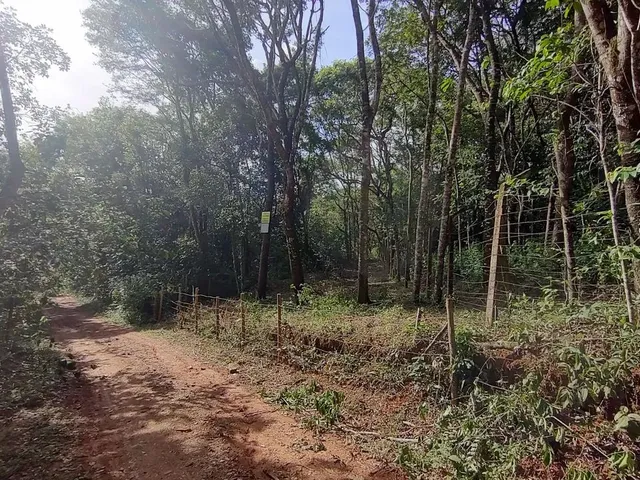 Imagem: Terreno em Mateus Leme